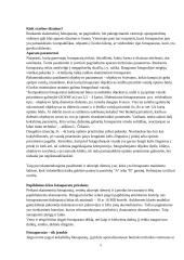 Skaitmeniniai fotoaparatai referatas 5 puslapis