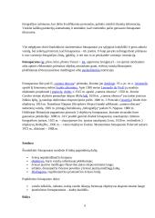 Skaitmeniniai fotoaparatai referatas 6 puslapis