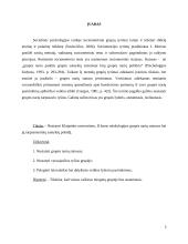 Sociometrinis grupės tyrimas 3 puslapis
