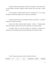 Sociometrinis grupės tyrimas 8 puslapis