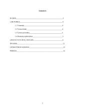 Nuostatų įvertinimas pagal semantinio diferencialo skalę 2 puslapis