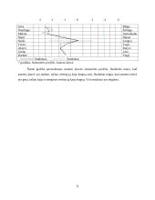 Nuostatų įvertinimas pagal semantinio diferencialo skalę 11 puslapis