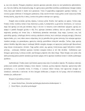 Instinktų agresijos teorija (S. Freud, K. Lorenz) 2 puslapis