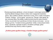 Užterštos aplinkos poveikis žmogaus sveikatai 2 puslapis