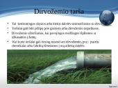 Užterštos aplinkos poveikis žmogaus sveikatai 12 puslapis