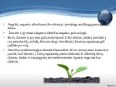 Užterštos aplinkos poveikis žmogaus sveikatai 13 puslapis