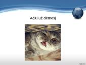 Užterštos aplinkos poveikis žmogaus sveikatai 16 puslapis