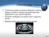 Užterštos aplinkos poveikis žmogaus sveikatai 3 puslapis