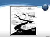 Užterštos aplinkos poveikis žmogaus sveikatai 7 puslapis