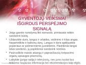 Gyventojų ir turto apsauga įvykus radiacinei avarijai 15 puslapis