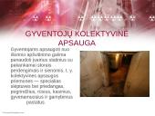Gyventojų ir turto apsauga įvykus radiacinei avarijai 17 puslapis