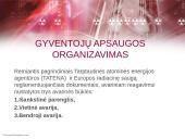 Gyventojų ir turto apsauga įvykus radiacinei avarijai 3 puslapis