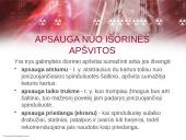 Gyventojų ir turto apsauga įvykus radiacinei avarijai 10 puslapis