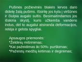 Sanitarinė želdynų apsauga. daigynų ir medelynų kenkėjai 12 puslapis