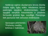 Sanitarinė želdynų apsauga. daigynų ir medelynų kenkėjai 15 puslapis