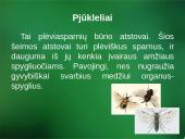 Sanitarinė želdynų apsauga. daigynų ir medelynų kenkėjai 16 puslapis