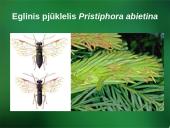 Sanitarinė želdynų apsauga. daigynų ir medelynų kenkėjai 17 puslapis