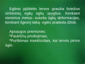 Sanitarinė želdynų apsauga. daigynų ir medelynų kenkėjai 18 puslapis