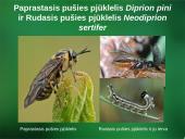 Sanitarinė želdynų apsauga. daigynų ir medelynų kenkėjai 19 puslapis