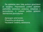 Sanitarinė želdynų apsauga. daigynų ir medelynų kenkėjai 20 puslapis
