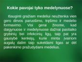Sanitarinė želdynų apsauga. daigynų ir medelynų kenkėjai 3 puslapis