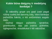 Sanitarinė želdynų apsauga. daigynų ir medelynų kenkėjai 4 puslapis