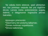 Sanitarinė želdynų apsauga. daigynų ir medelynų kenkėjai 6 puslapis