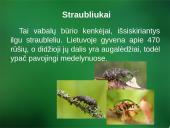 Sanitarinė želdynų apsauga. daigynų ir medelynų kenkėjai 7 puslapis