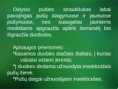 Sanitarinė želdynų apsauga. daigynų ir medelynų kenkėjai 9 puslapis