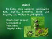 Sanitarinė želdynų apsauga. daigynų ir medelynų kenkėjai 10 puslapis