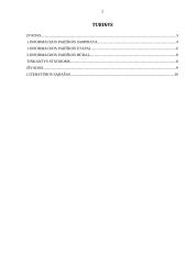 Informacijos paieškos procesas 2 puslapis