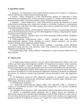 Referatas elekrotechnikos studijoms 19 puslapis