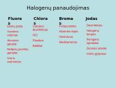 Skaidrės apie halogenus 3 puslapis