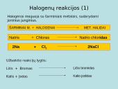 Skaidrės apie halogenus 4 puslapis