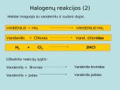 Skaidrės apie halogenus 5 puslapis