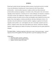 Neįgalių asmenų integracija 3 puslapis