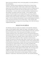 Neįgalių asmenų integracija 10 puslapis