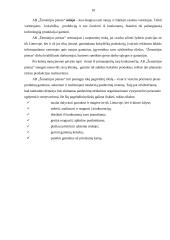 AB "Žemaitijos Pienas" strateginis valdymas 9 puslapis