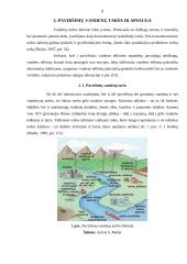 Paviršiniai vandenys 8 puslapis