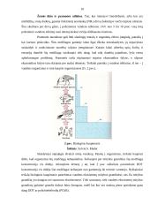 Paviršiniai vandenys 10 puslapis