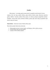 Turizmo ištekliai Biržų mieste 2 puslapis