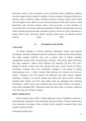 Turizmo ištekliai Biržų mieste 11 puslapis