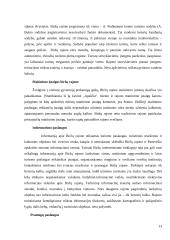 Turizmo ištekliai Biržų mieste 13 puslapis