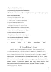 Turizmo ištekliai Biržų mieste 16 puslapis