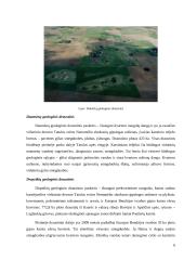 Turizmo ištekliai Biržų mieste 6 puslapis