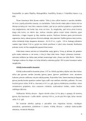 Turizmo ištekliai Biržų mieste 8 puslapis