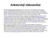 Viduramžių muzika skaidrės 4 puslapis