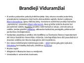 Viduramžių muzika skaidrės 5 puslapis