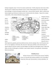 Mano gimtinės dvarai 6 puslapis