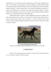 Arklių smegenėlių abiotrofija 6 puslapis